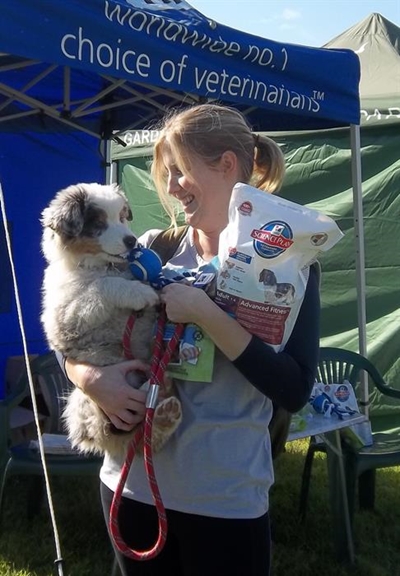 Great fun at SPCA Woof-athon